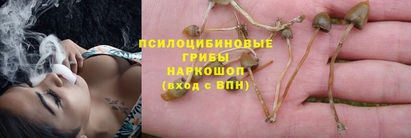 прущая мука Алзамай