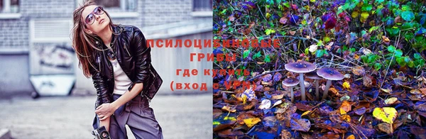наркотики Алексеевка